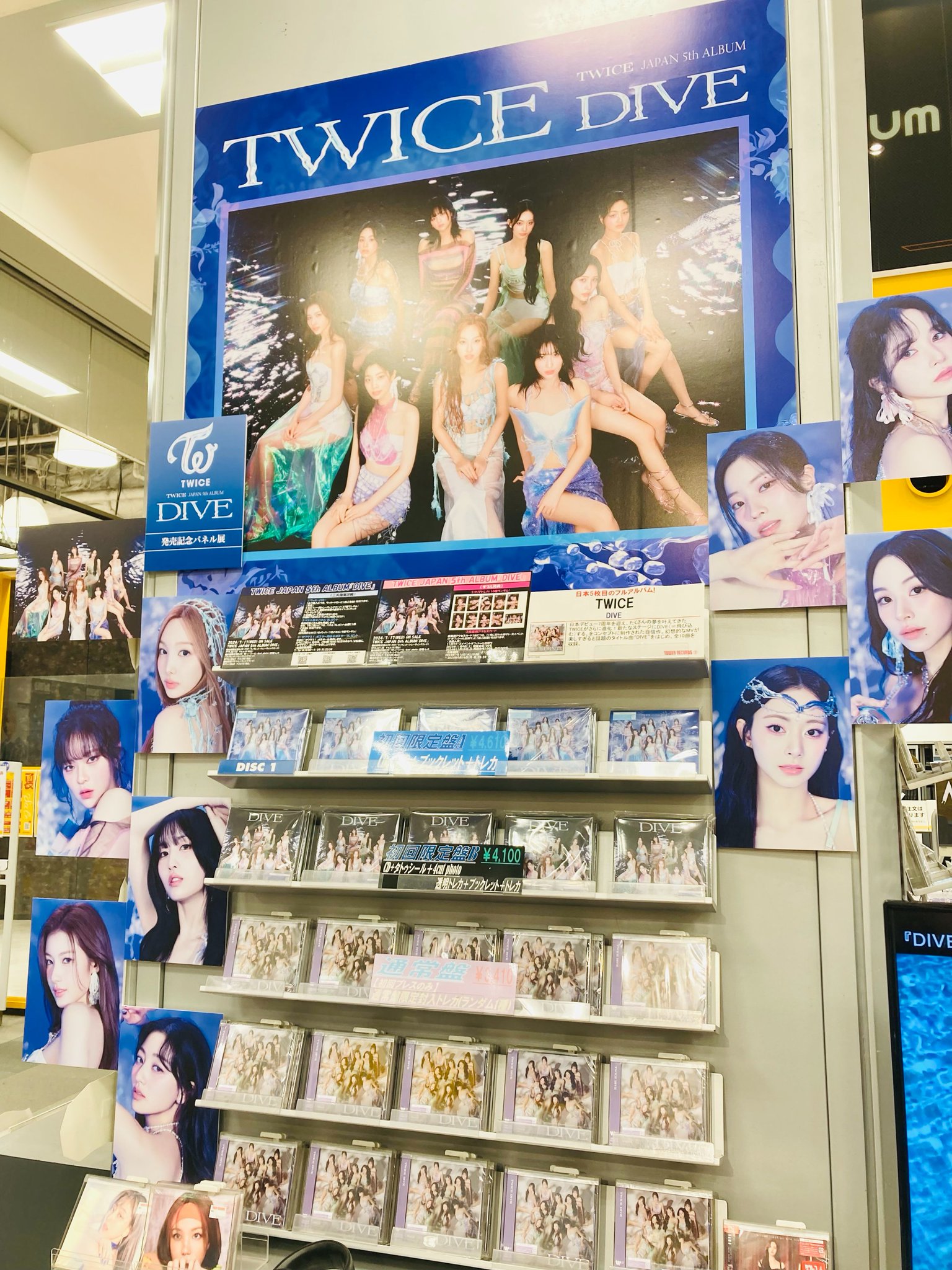 TWICE - TWICE DIVE 店舗パネル展当選品 ミナ パネル TWICE - TWICE DIVE 店舗パネル展当選品 ミナ パネルの通販 by