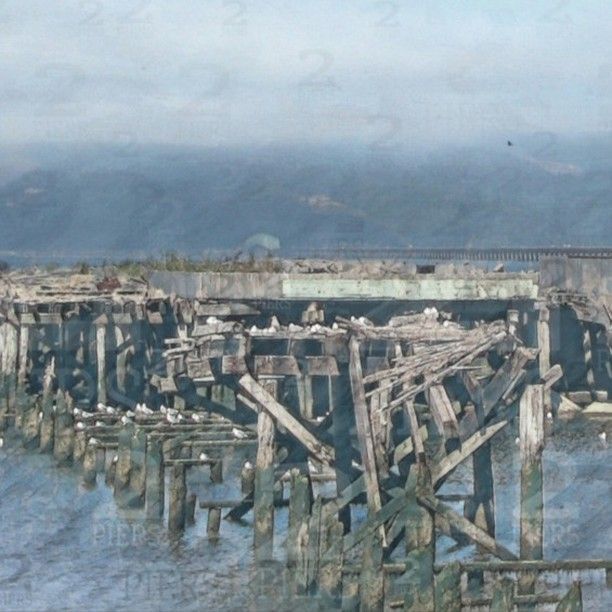 Two_Piers's tweet image. Oregon Pier

Contact me if you need color adjustments to match your specific palette.

2piers.com/products/Orego…

#CanneryPier #CanneryPierArt #astoriaoregon #oregoncoastart #pierart #coastalart