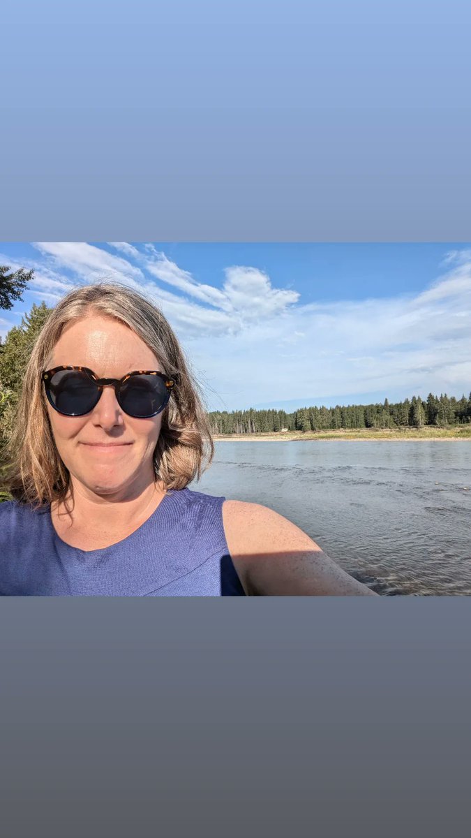 Lesley Harrington tweet media