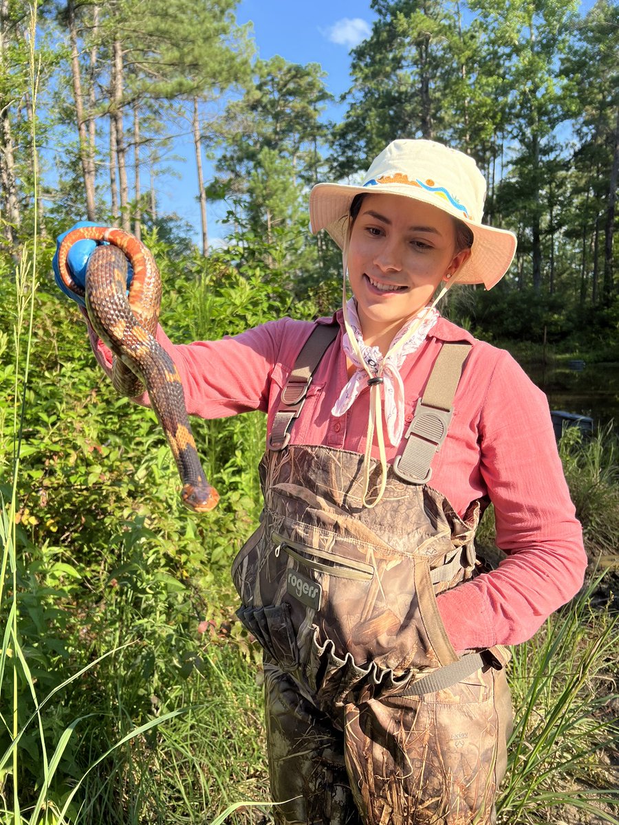 Happy World Snake Day 🐍