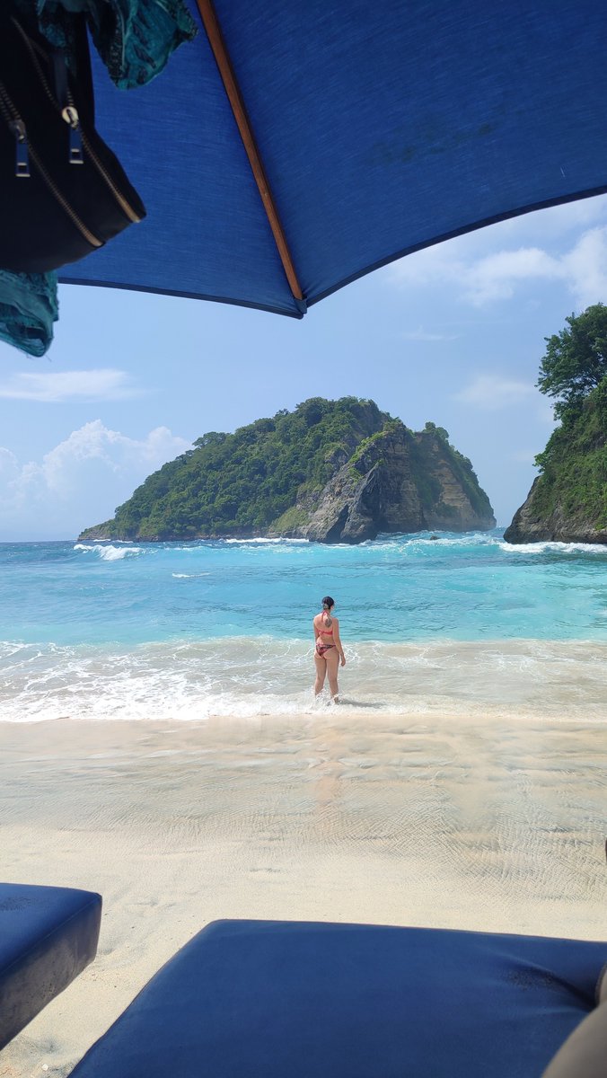 vicky_eq's tweet photo. I’m still alive, just tend to forget this app exists 😅 

Since my last post, my best friend got married and I’ve been travelling a fuckload, ro Florida 3 times, Australia, Bali, Vancouver, and am back on Sable Island https://t.co/WfIyu8jv8U