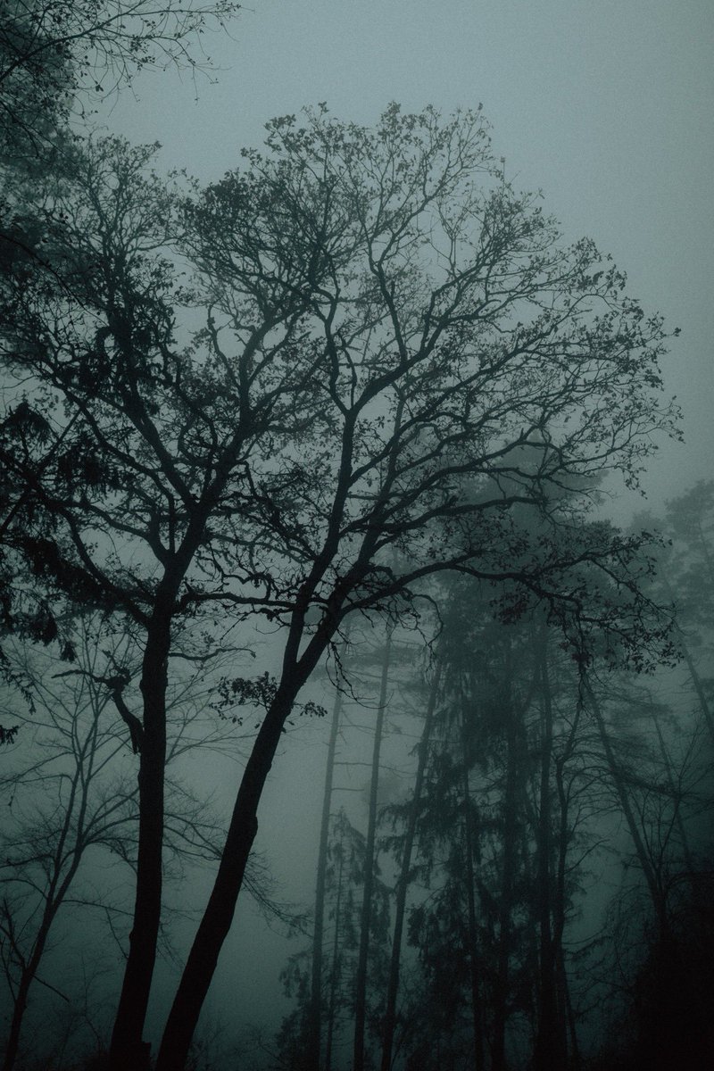 Ambientland1's tweet photo. https://t.co/ILOaU7RZ3O