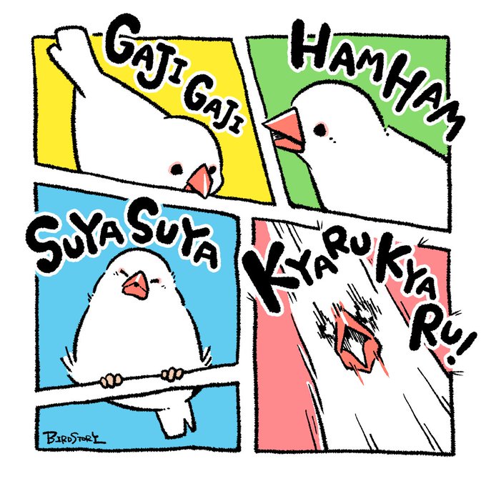おはようございます。 本日は7月17日、漫画の日とのことです✒️ #BIRDSTORY #漫画の日 #文鳥