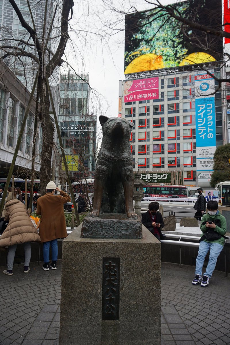 constthinker's tweet photo. #photography #streetphotography #Japan #Tokyo #Shibuya #Hachiko #東京 #日本 #渋谷区 https://t.co/ED2TXd28Bj