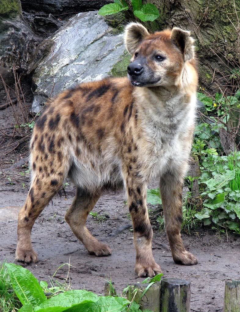 HourlyYeen's tweet photo. [🔗](https://t.co/3s0CXsIEvu) https://t.co/3N5gtR9XGw