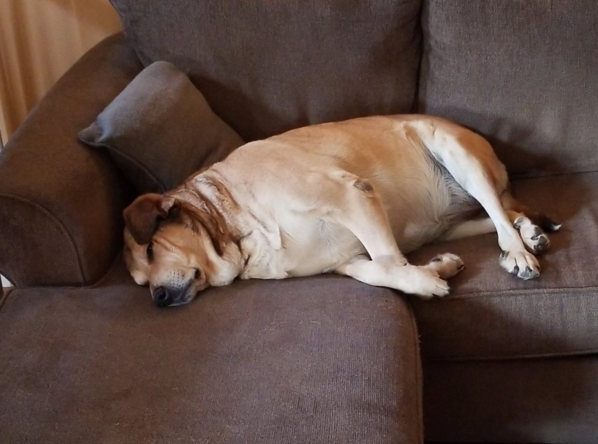 Steve Bittenbender tweet media