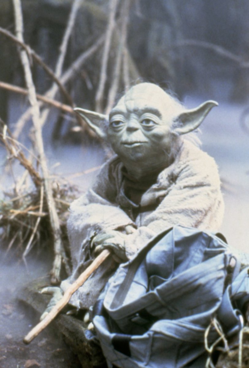 Yoda Coin tweet media