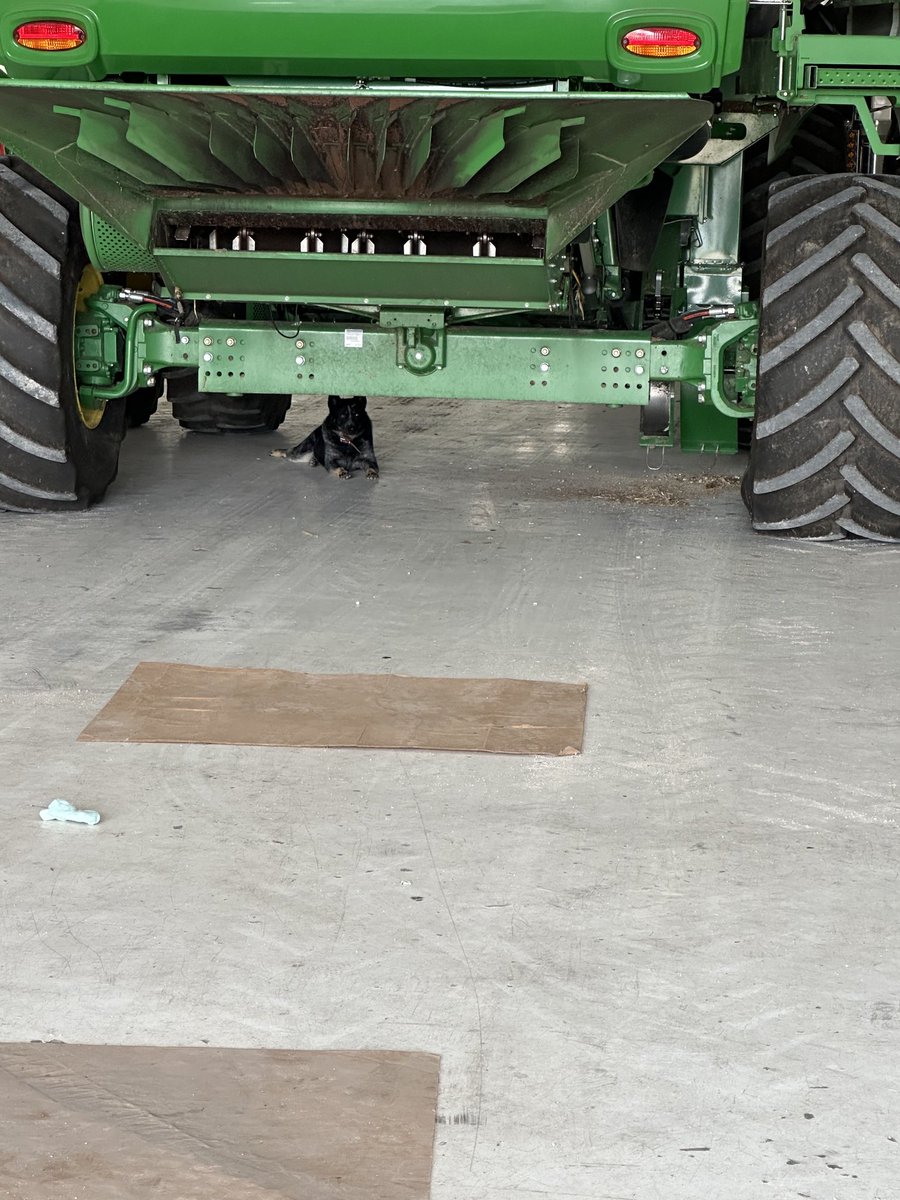 John Koop tweet media