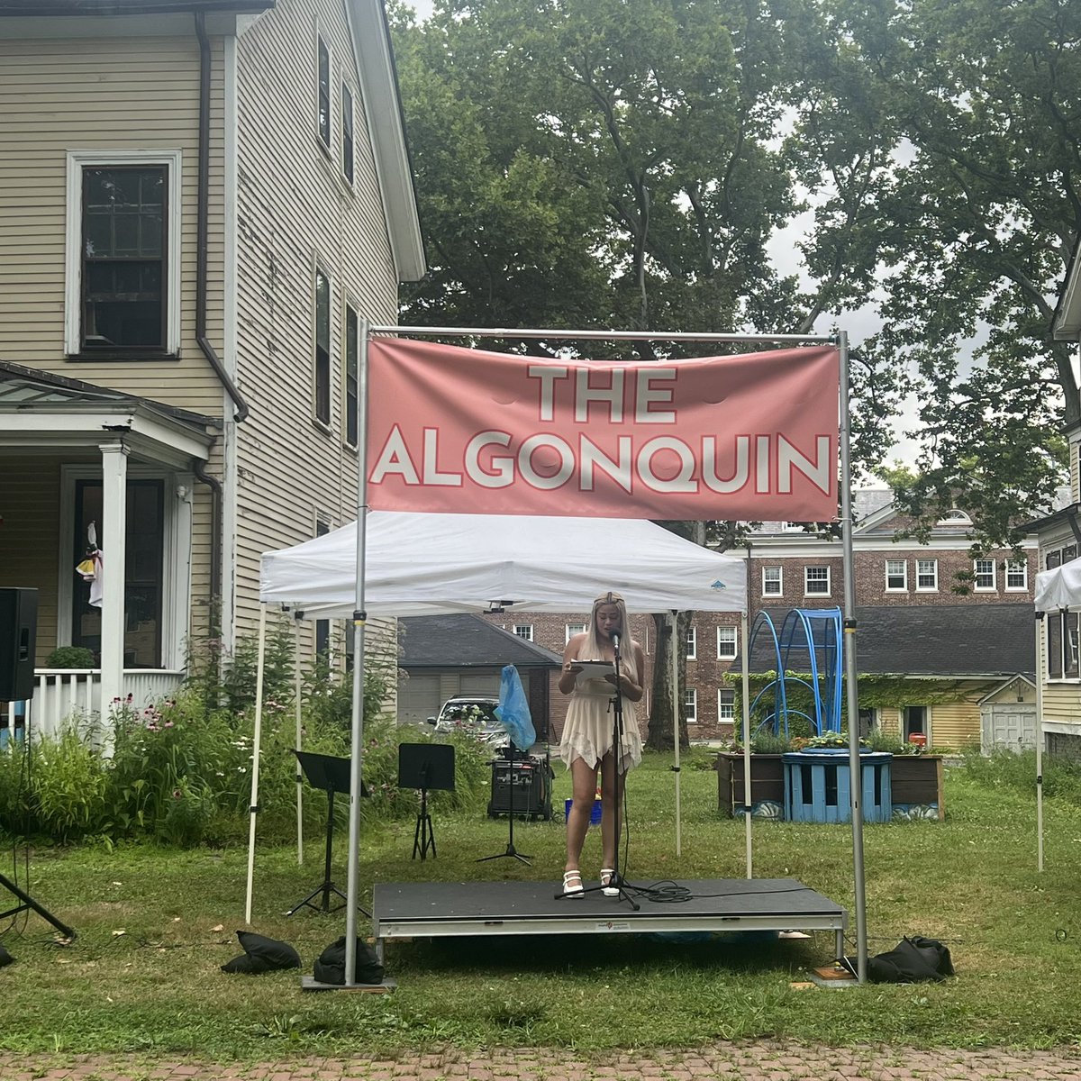 wind-up mice journal tweet media