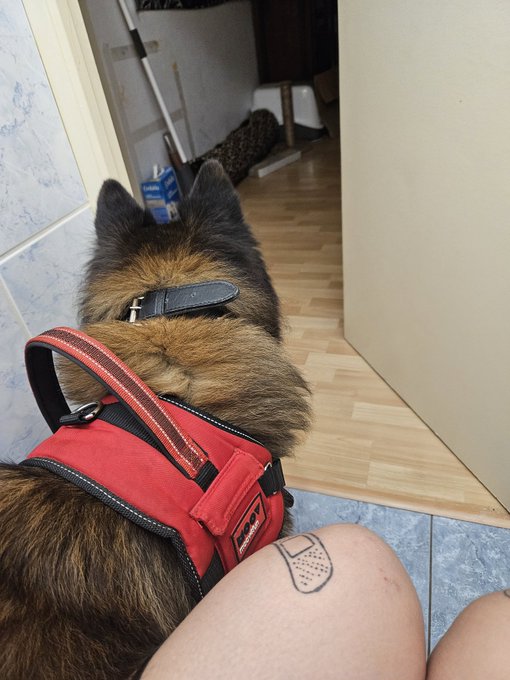 Mais ???? T'es pas un chat 😭 https://t.co/6gkJSLh1UB<a href="/tag/stripchat"class="tags"><span>#stripchat</span></a><a href="/tag/stripchatlive"class="tags"><span>#stripchatlive</span></a>