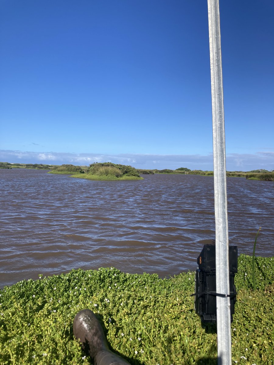 Lavretsky tweet media