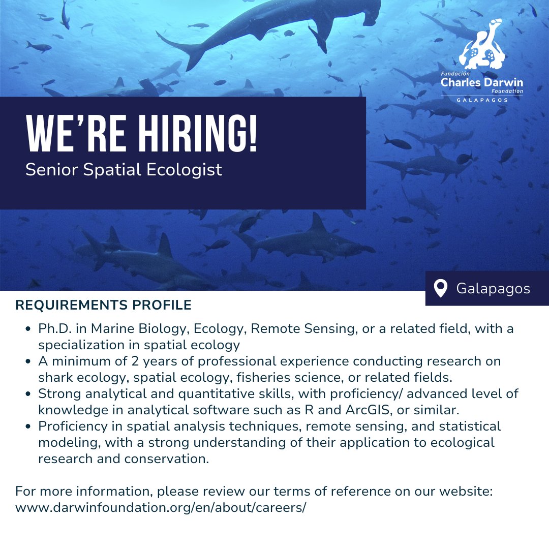 ASFB (@austsocfishbiol) on Twitter photo JOB OPPORTUNITY: Spatial Shark Ecologist - <a href="/DarwinFound/">Charles Darwin Foundation-Fundación Charles Darwin</a>, Ecuador
Be part of the "Habla Tiburón" project, funded by USAID, aimed at improving the long-term viability of shark and ray populations in Ecuadorian waters.
Apply by August 25th!
🔗darwinfoundation.org/en/about/caree… JOB OPPORTUNITY: Spatial Shark Ecologist - <a href="/DarwinFound/">Charles Darwin Foundation-Fundación Charles Darwin</a>, Ecuador
Be part of the "Habla Tiburón" project, funded by USAID, aimed at improving the long-term viability of shark and ray populations in Ecuadorian waters.
Apply by August 25th!
🔗darwinfoundation.org/en/about/caree…