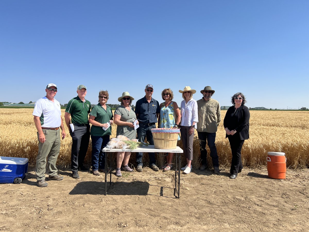 Colorado Wheat (@coloradowheat) on Twitter photo Last week we had the pleasure of hosting several VIPs from CSU at ARDEC to learn about the Wheat Breeding program. We are so thankful that they were able to join us! Attendees included Provost and Executive Vice President Dr. Marion Underwood, as well as Deans from four colleges Last week we had the pleasure of hosting several VIPs from CSU at ARDEC to learn about the Wheat Breeding program. We are so thankful that they were able to join us! Attendees included Provost and Executive Vice President Dr. Marion Underwood, as well as Deans from four colleges