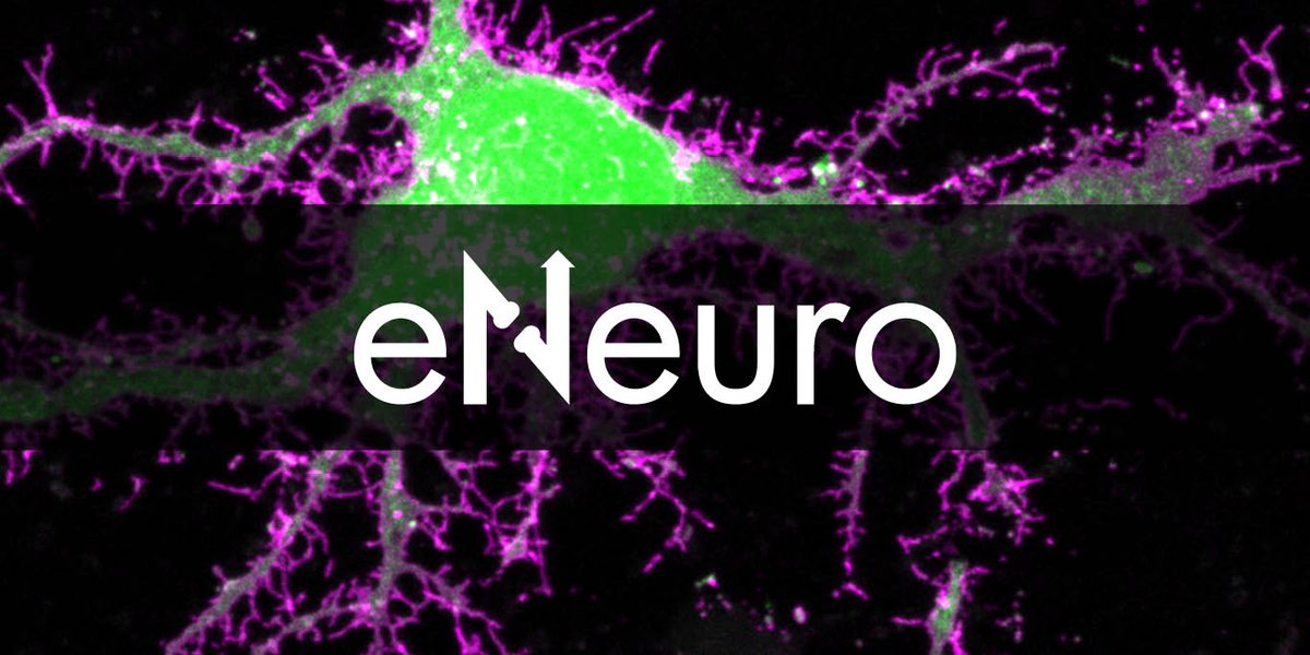 SfNJournals's tweet photo. Did you know you could publish confirmation studies and negative results in #eNeuro? Learn more about the many paper types that can be submitted: https://t.co/izL8UqmU5C https://t.co/adLH89oITS