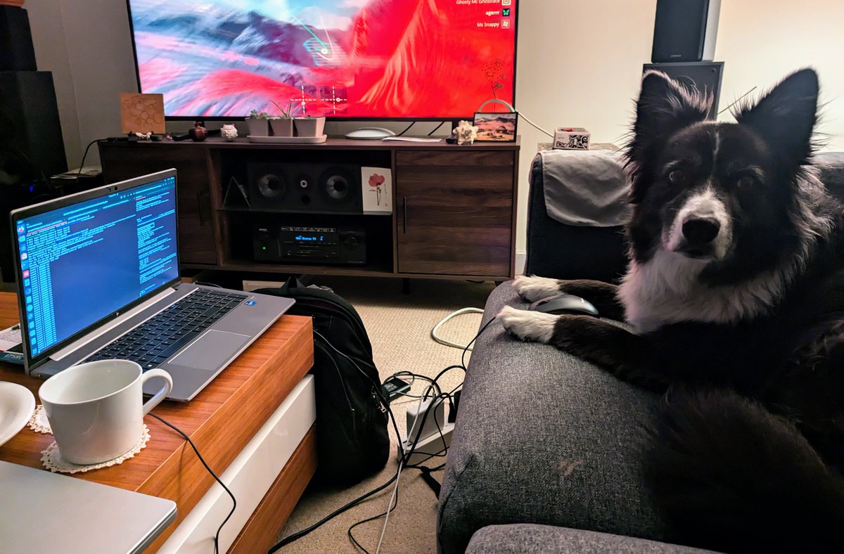dogdogapp's tweet image. Meet our newest (and furriest) summer intern! This little tech wizard is here to help us build our first MVP!

See how this doggo is hacking her way through #StartupLife  and tackling #separationanxiety in her fellow furry friends one paw at a time.

#techpup #doggodeveloper…