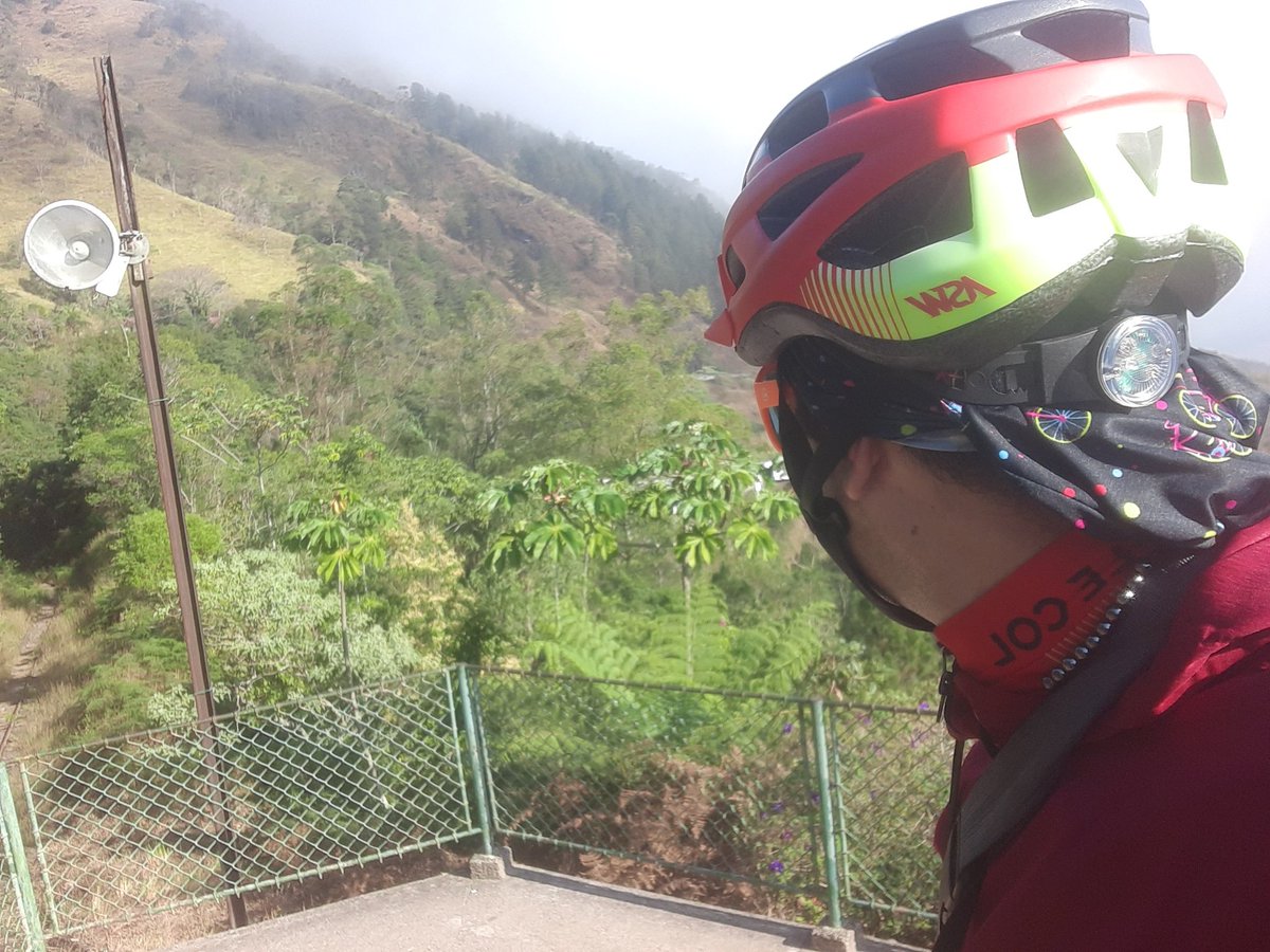JMenecucci's tweet photo. 🍃"Fortalecei os corações no Senhor "🍃 https://t.co/cXzgeELj0p