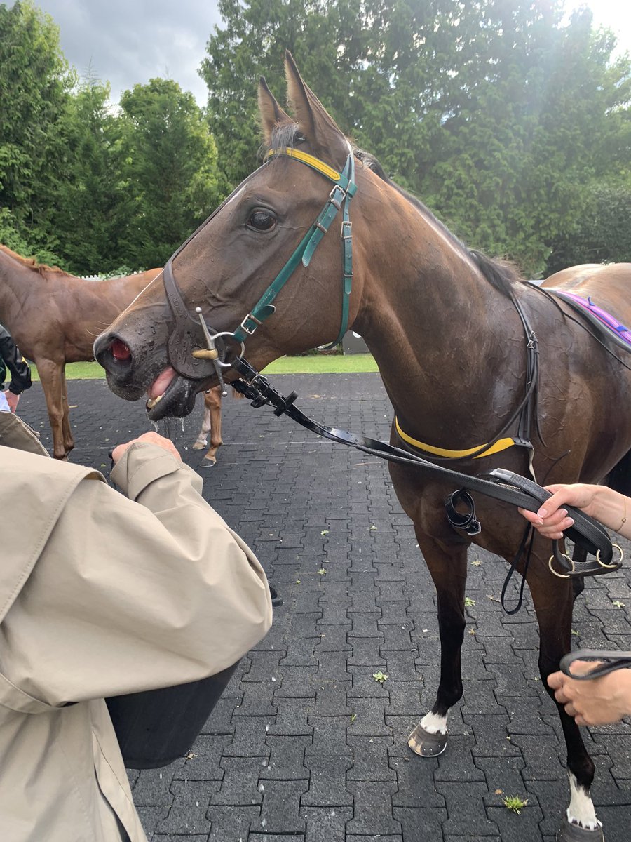 Don Clark tweet media