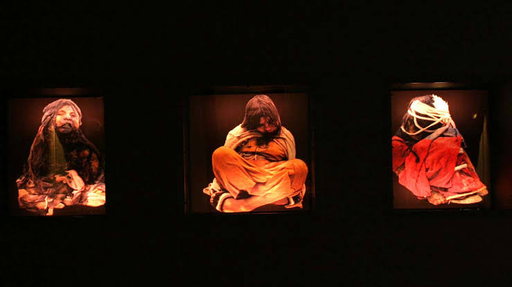 mpiredivine's tweet photo. The Children of Llullaillaco, also known as the Mummies of Llullaillaco, are three Inca child mummies discovered on 16 March 1999 by Johan Reinhard and his archaeological team near the summit of Llullaillaco, a 6,739 m (22,110 ft) stratovolcano on the Argentina–Chile border. The children were sacrificed in an Inca religious ritual that took place around the year 1500. In this ritual, the three children were drugged with coca and alcohol then placed inside a small chamber 1.5 metres (5 ft) beneath the ground, where they were left to die. Archaeologists consider them as being among the best-preserved mummies in the world.

On 20 June 2001, Argentina's National Commission of Museums, Monuments and Historic Places declared the Children of Llullaillaco to be National Historic Property of Argentina. Since 2007 the mummies have been on exhibition in the Museum of High Altitude Archaeology in the Argentine city of Salta.

The Inca Empire (Quechua: Tawantinsuyu, "The Four Regions"), was the largest known empire in pre-Columbian America, and possibly the largest empire in the world during the early 16th century. The empire arose in the area around the city of Cusco, high in the Andes Mountains in modern-day Peru, in the 13th century. The Inca civilization did not expand much geographically until the mid-15th century. However starting under the rule of Pachacuti in 1438 the Inca swept throughout South America along the Andes mountains, conquering local peoples along the way and consolidating a massive land empire within the span of less than a century. The Inca Empire reached its maximum geographical extent around 1530 and then began a rapid decline under epidemics pressures culminating in the fall of Cusco in 1533, along with the execution of the emperor Atahualpa by conquering Spaniards.

Child sacrifice, referred to as capacocha or qhapaq hucha, was an important part of the Inca religion and was often used to commemorate important events, such as the death of a Sapa Inca. Human sacrifice was also used as an offering to the gods in times of famine and as a way of asking for protection. Sacrifice could occur only with the direct approval of the Inca emperor. Children were chosen from all over the sprawling Inca empire and were picked primarily based on their "physical perfection". Children chosen for sacrifice were generally "sons and daughters of nobles and local rulers". They were then taken hundreds or thousands of miles to Cusco, the capital, where they were the subject of important purification rituals. From there the children were sent to high mountaintops throughout the empire to be sacrificed. According to traditional Inca belief, children who are sacrificed do not truly die but instead watch over the land from their mountaintop perches, alongside their ancestors. The Inca considered it a great honour to die as a sacrifice.

According to Spanish chronicler Pedro Cieza de León who visited Cusco in 1550, the chosen Virgins of the Sun god, whose task it was to weave and dye woollen cloth for the service of the temple near Cuzco and to prepare chicha, could also be buried alive (sacrificed) if they had violated their celibacy by engaging in sexual intercourse with a male. Spanish historian, Pedro Sarmiento de Gamboa, wrote that by the time of Inca Yupanqui's reign, these women were being used as his concubines.

Other well-preserved mummies, including Mummy Juanita, have been found on mountaintops in the Andes.
