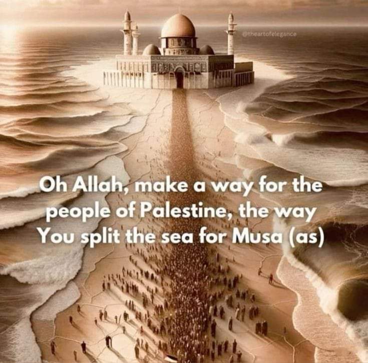 islamicfreedom's tweet photo. Amin 🤲🏼 https://t.co/KxeRnAZo4H