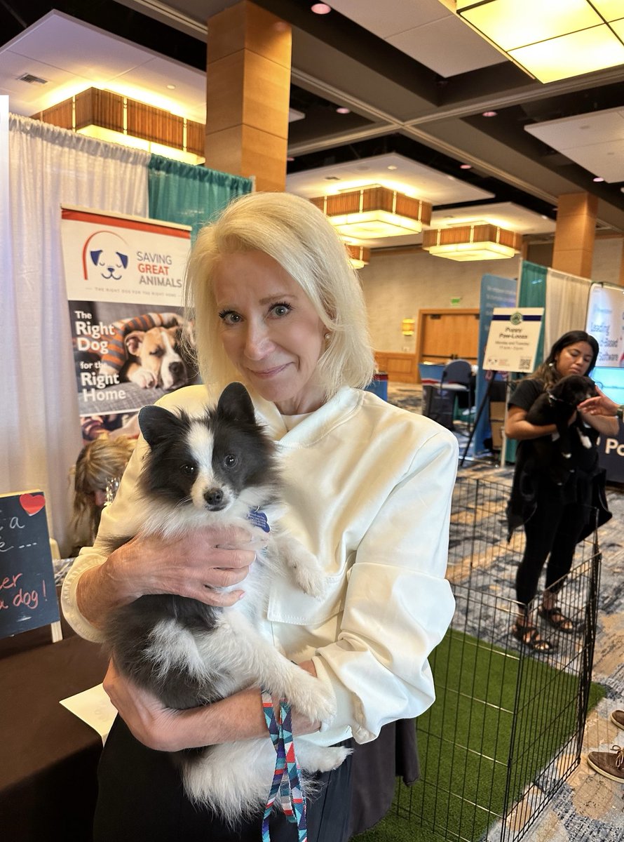 susanhiland's tweet photo. Puppy Paw-looza is pawsitively perfect! ❤️ing some pups up for adoption at #NSPRA2024! I have Diego ⁦@MrsRachelBowers⁩ holds Bonnie! 🐶 #Furbreak ⁦⁦@NKCSchools⁩ https://t.co/a9F2Osdh5B