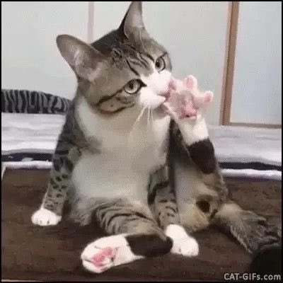 facetorn's tweet image. ♱﹕ASPHYXIA .. takenx2 t-gen did sys
hiii we're 19 looking for sys oomfs mainly but singlets r fine too
.. rentry.org/thevilwithin ..
we have a variety of interests mainly horror so pls read rentry b4 following!!! 
♡  /  ↺ = for a fb.
&amp;gt; #promotwt #systwt #didtwt