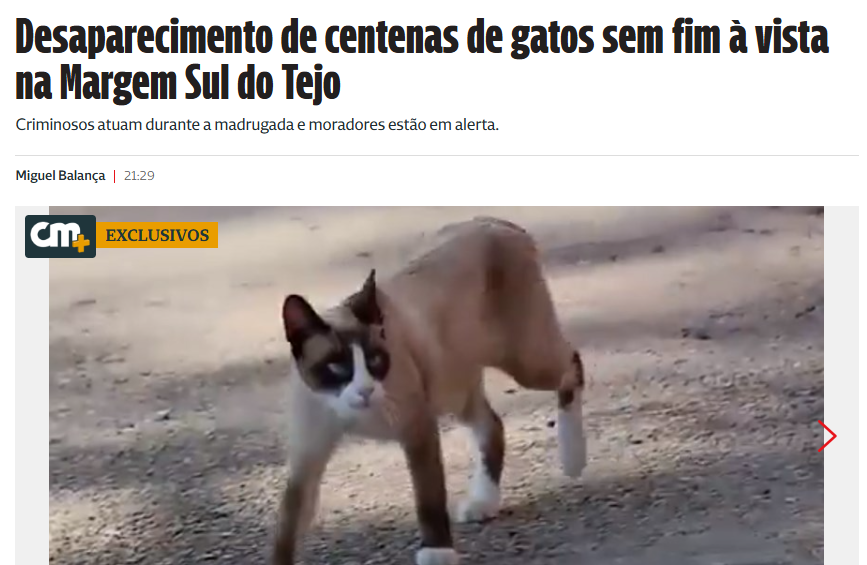 jorgeclpires's tweet photo. Façam atenção ao kebab, pode ser de filé miau https://t.co/q2dYlIN2K6
