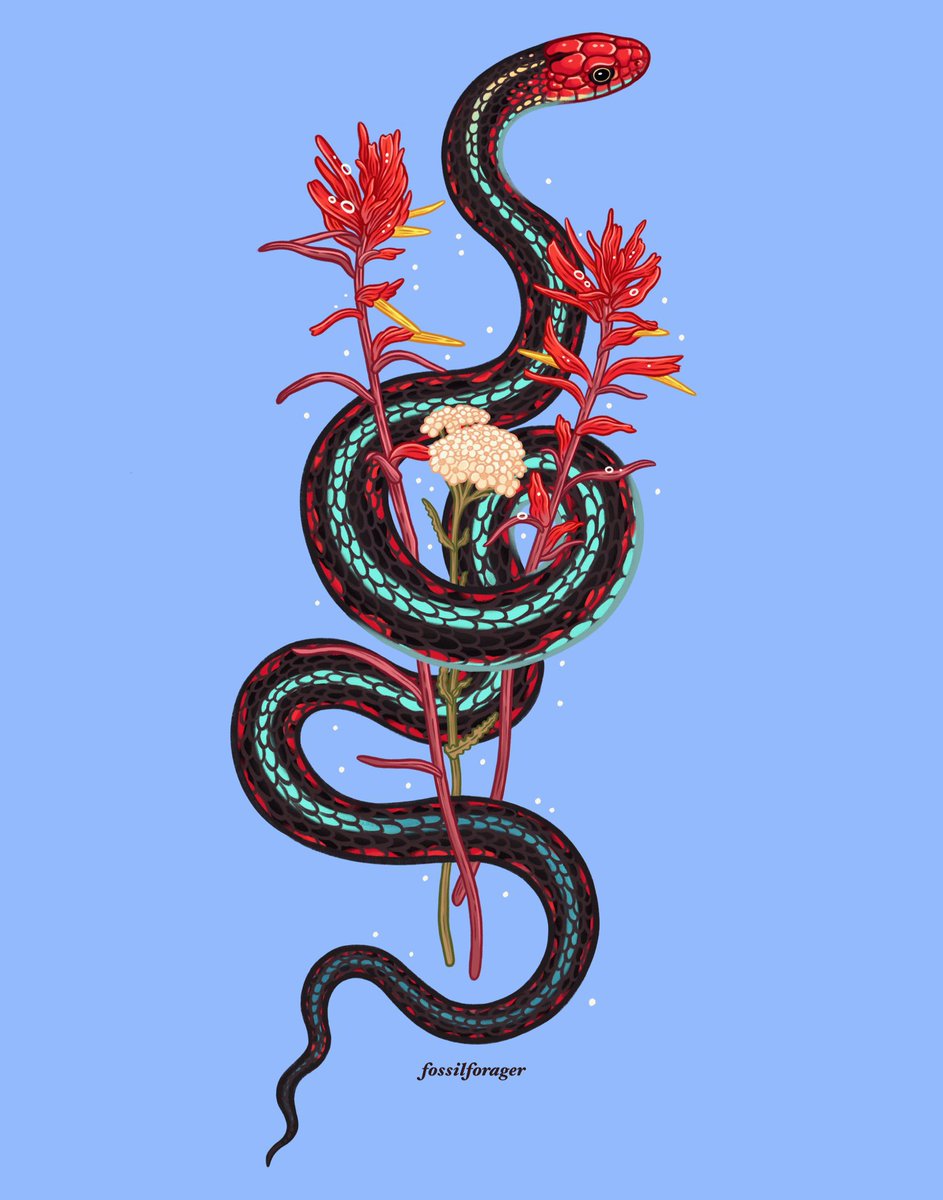 Happy #WorldSnakeDay! They will always be some of my favorite animals 🐍💕