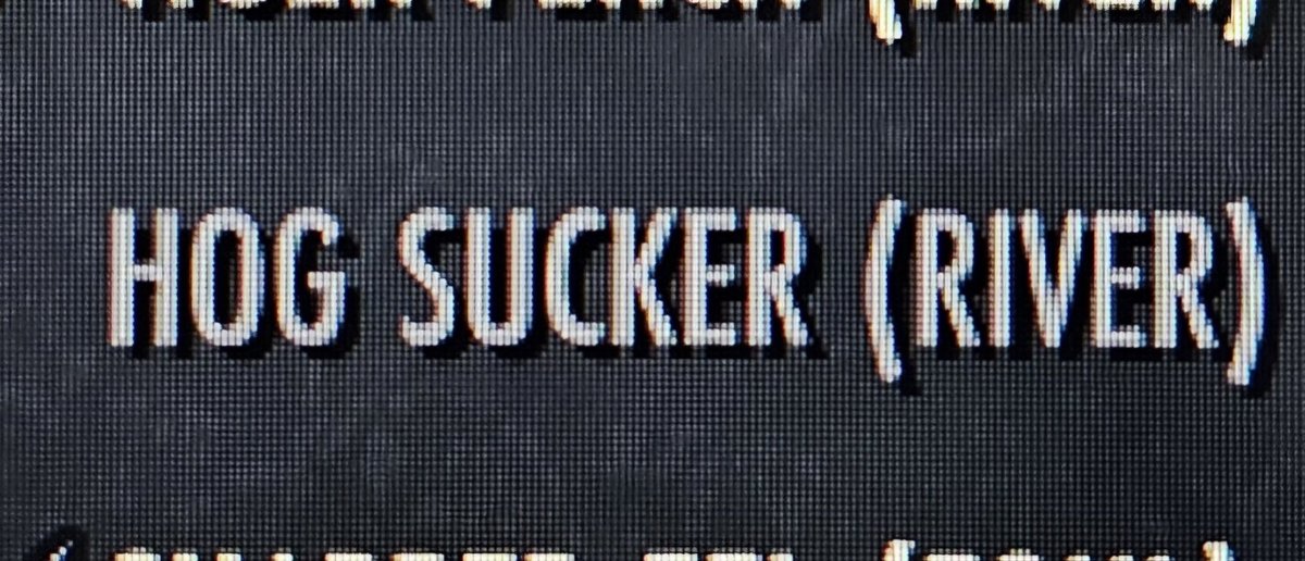 grey.🍉 tweet media