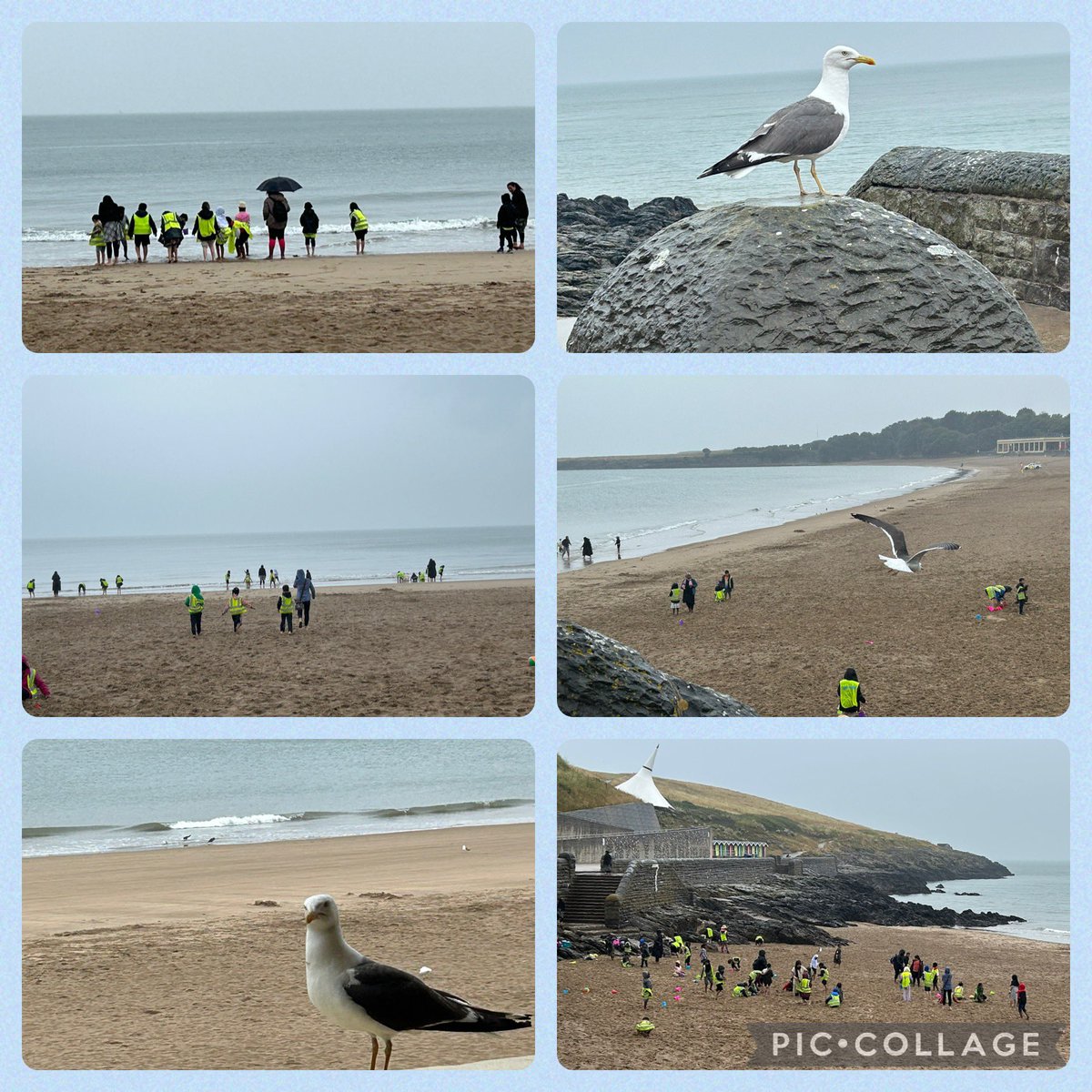 Mansfield Green E-ACT Primary tweet media