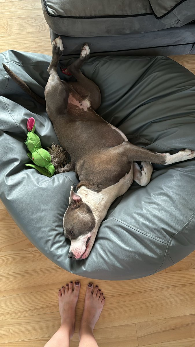 lionandlyn's tweet photo. @Brazhe_inese My happy boi 🩷 https://t.co/tF7k7D00wd