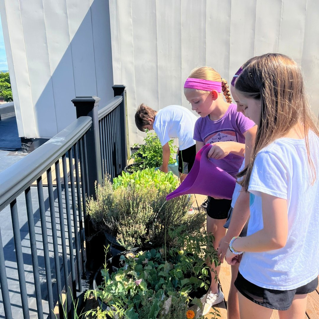 NEW Health tweet media