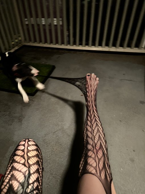 stocking stealing cryptid spotted!! https://t.co/wGRZyq3wQk