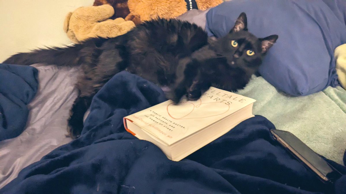 At least someone is enjoying my new book release…
hachettebookgroup.com/titles/dean-da…