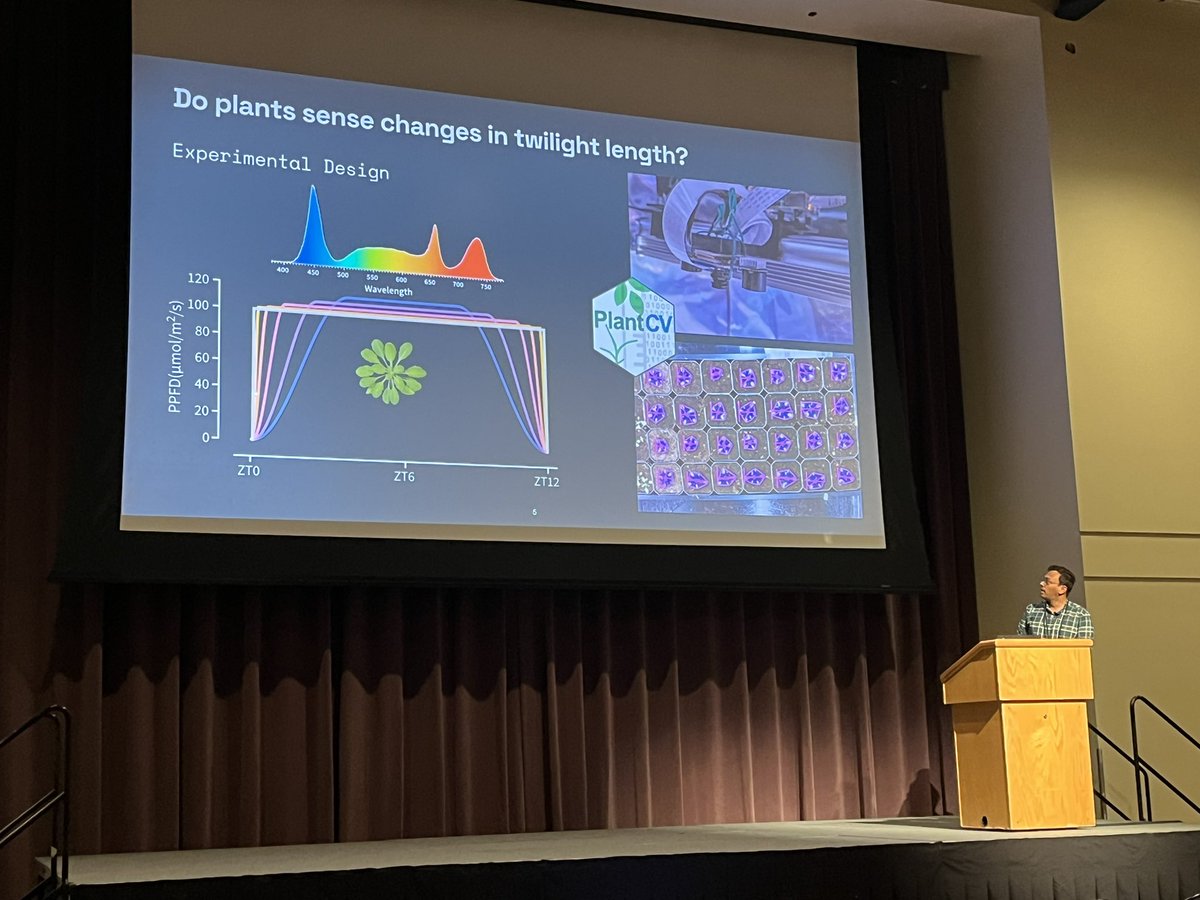 LabUhrig's tweet photo. Great talk by former @LabUhrig PDF @drdevangm at #ICAR2024 in San Diego about our recent work published in @ScienceAdvances examining the effects of twilight on the growth and development of Arabidopsis thaliana.
https://t.co/xzQIM3fGP2 https://t.co/dygNPc1apE