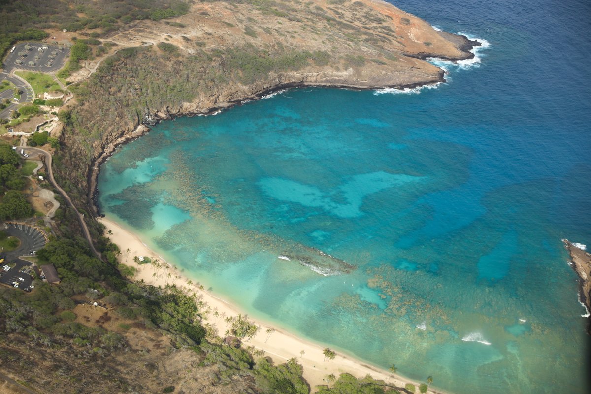 We never get tired of the views of the many blues of ocean that surround the island of Oahu. Have you experienced this view or these waters yet? 

Photo: @ourgrandexcursion 

#helicoptertours #oahu #oahutours