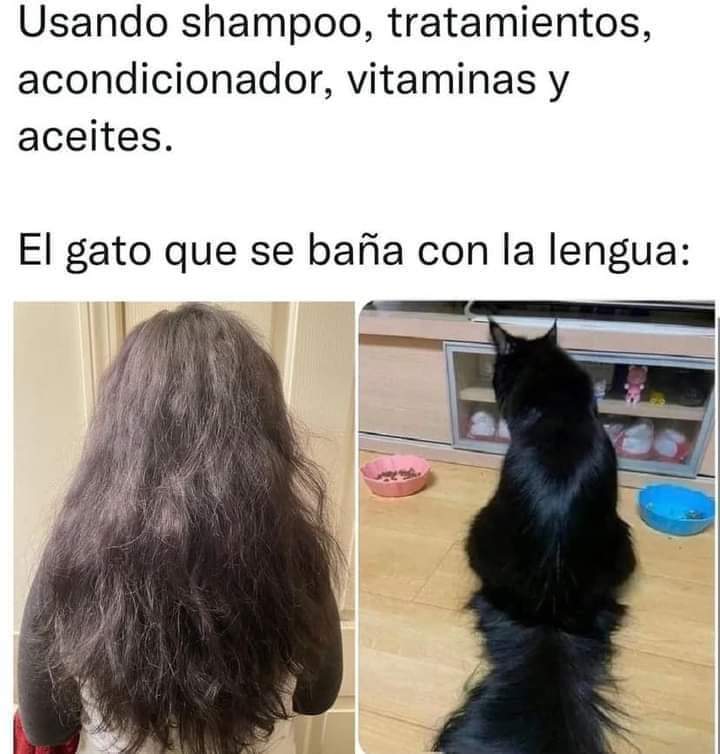 🤣🤣🤣🤣🤣🤣