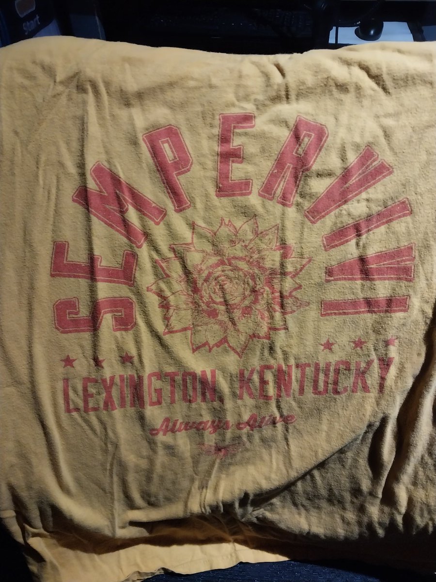 It's #bandShirtBluěsday / #tShirtTuesday! 
Today, we're wearing @sempervivi shirt, a fine Kentucky pop punk act
I'm pretty sure I can #nameThreeSongs by them: 99%, the room is lava, solid man of sport
Also, I think they have a new song out this week or something