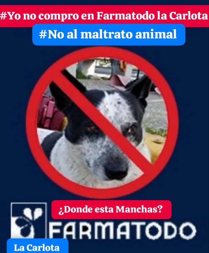 CarmenZR04's tweet photo. Son tiempos para decir la verdad #farmatodo https://t.co/hCAkuCQh5V