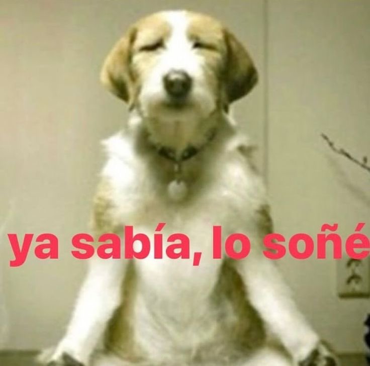 RikesaVzla's tweet photo. Cuando te haces una mente y la pegas: https://t.co/trwxGAA4Vk