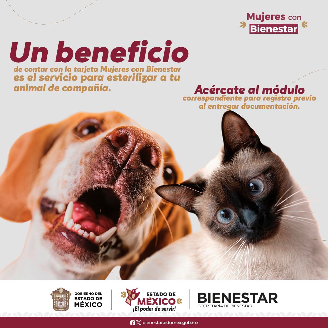 BienestarEdoMx's tweet photo. La asistencia veterinaria telefónica y presencial para tus animales de compañía es un beneficio al cual tienes derecho con tu tarjeta #MujeresConBienestar.
En la entrega de tu documentación acércate al módulo para el registro de esterilización. #BienestarAnimal https://t.co/Io4BcSam5e