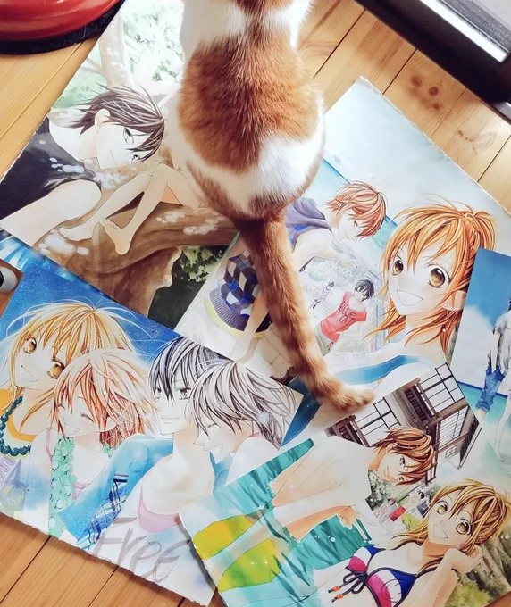 夏休み直前ですね夏っぽい過去絵整理中です 懐かしのBLUE