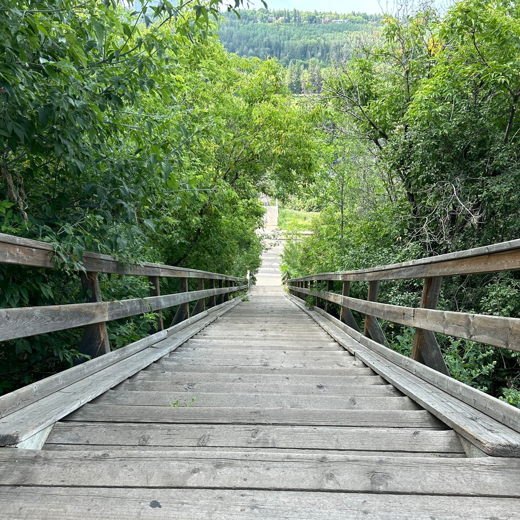 Therapy_2U's tweet photo. The is a gorgeous place to not only take in some views but also take in some stairs! Climbing at least 5 flights of stairs/day can cut the risk of CV disease by about 20%, according to new research. #inhomephysio #mobilephysio #edmontonphysio #calgaryphysio #activeliving https://t.co/0TwaFf7Xgk
