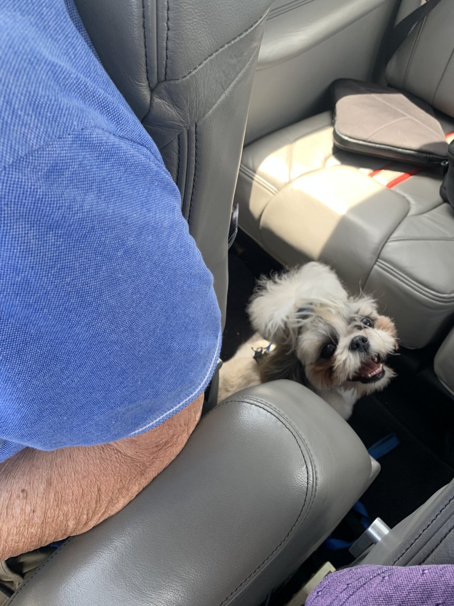 Brian Carlson tweet media