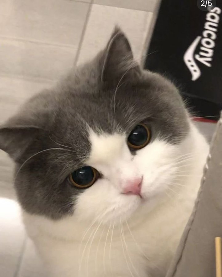 DropSuper's tweet image. My Proof of Goon for @PlumeNetwork. Come join the Goon fam 👀

miles.plumenetwork.xyz/join?invite=PL…

#PlumeTestnet #PlumeGoons #GoonSquad