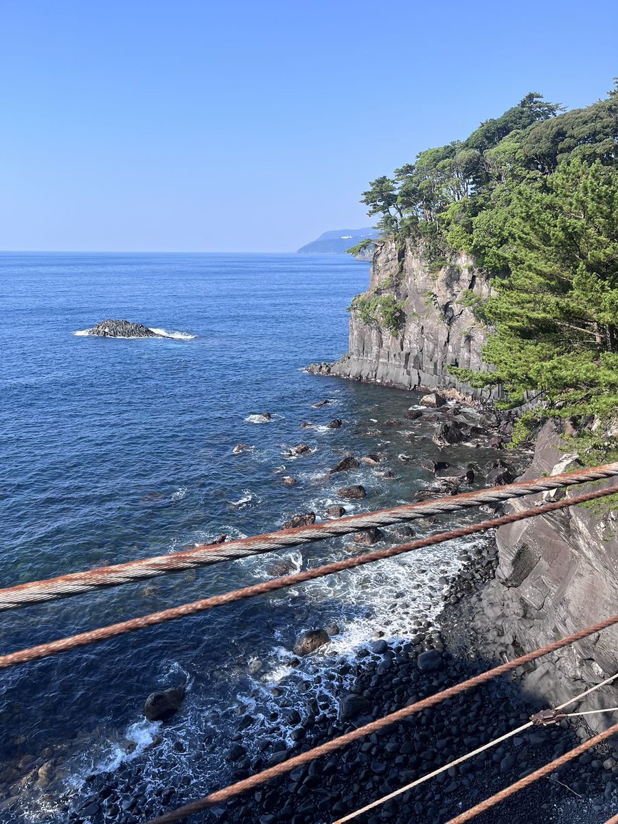 周星星星星 tweet media