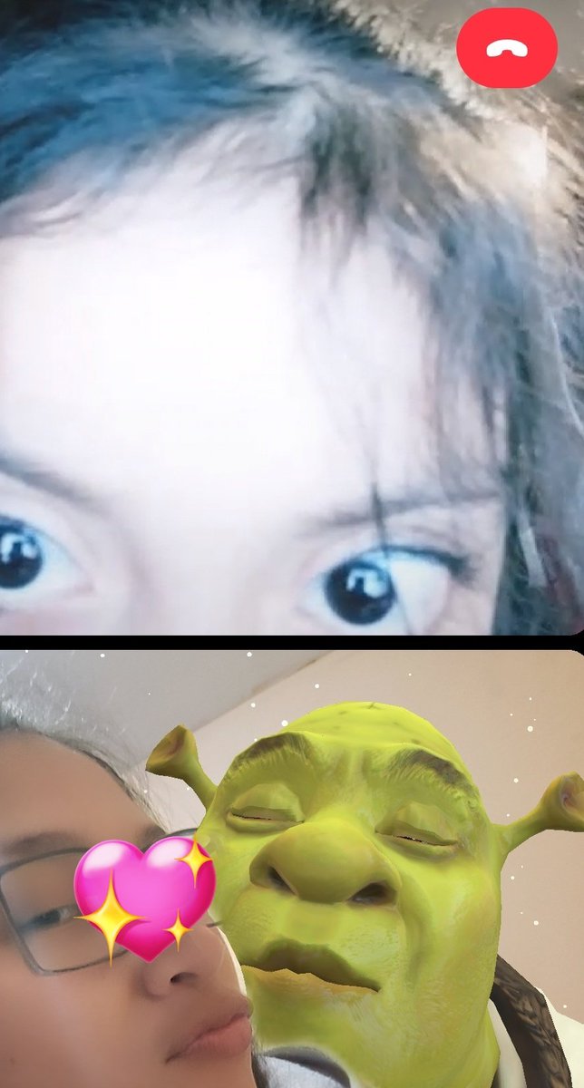 NubeSecreta's tweet photo. En videollamada con mi sobrina y mi novio Shrek, Rubí se quedó impactada #Shrek https://t.co/hWtUaDF8xm