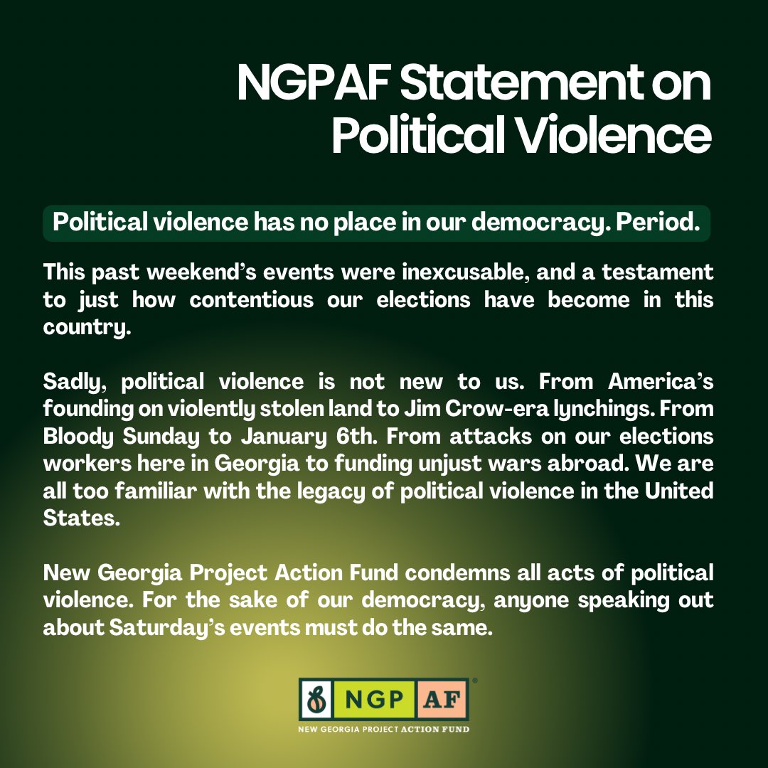 New Georgia Project Action Fund tweet media