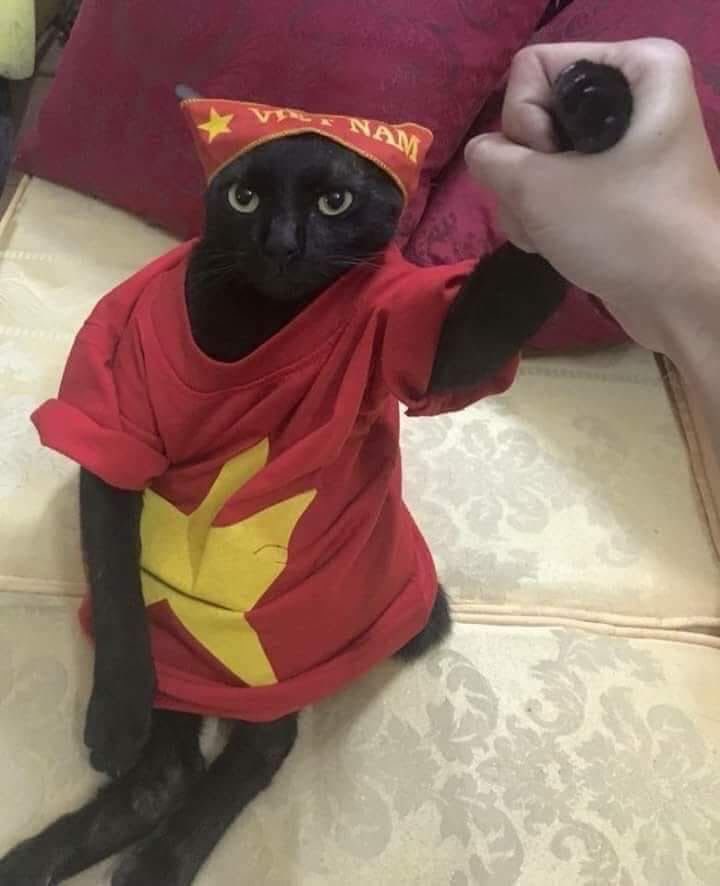 vietnamese cat