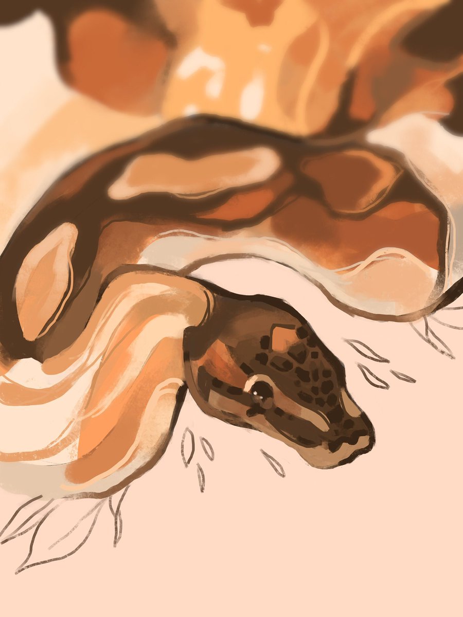 「It's #WorldSnakeDay which makes me think」|Finchのイラスト
