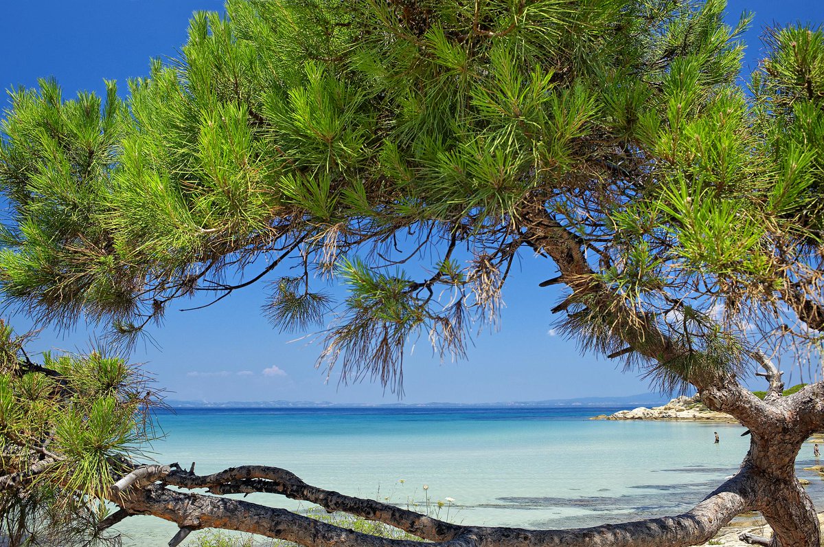 Beach at Halkidiki peninsula, Greece